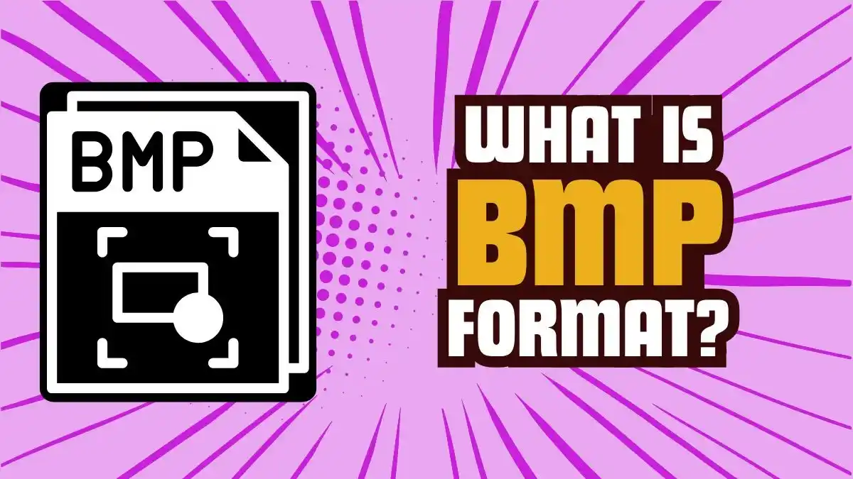 What is BMP Format A Complete Guide to Bitmap Images