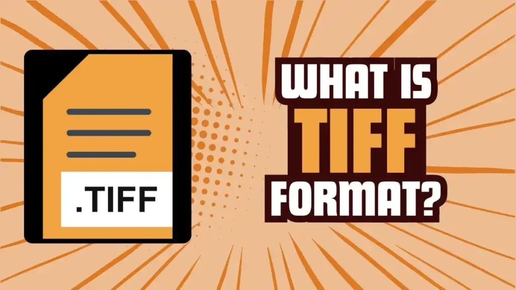What is TIFF Format A Complete Guide to High-Quality Image Files
